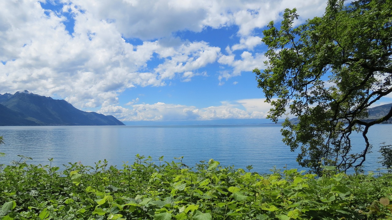 观音山海滩附近的美食之旅观音山沙滩好玩吗