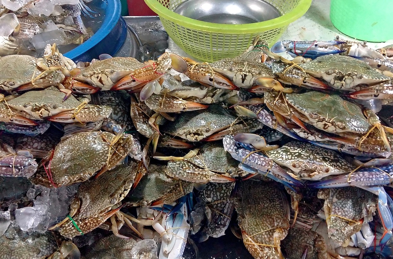 胶南海鲜美食推荐胶南海鲜饭店哪家好