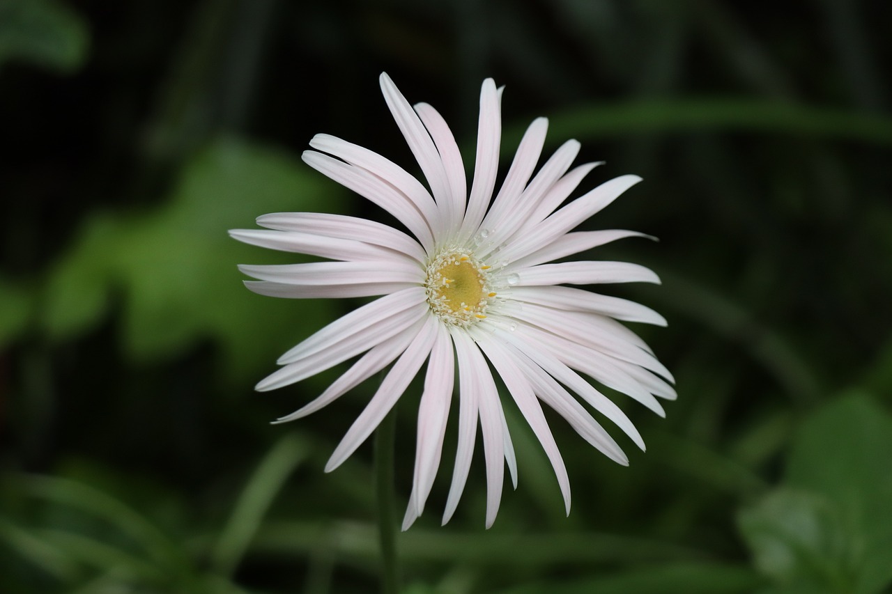 宁波足球场植物墙花盆之美宁波的足球场