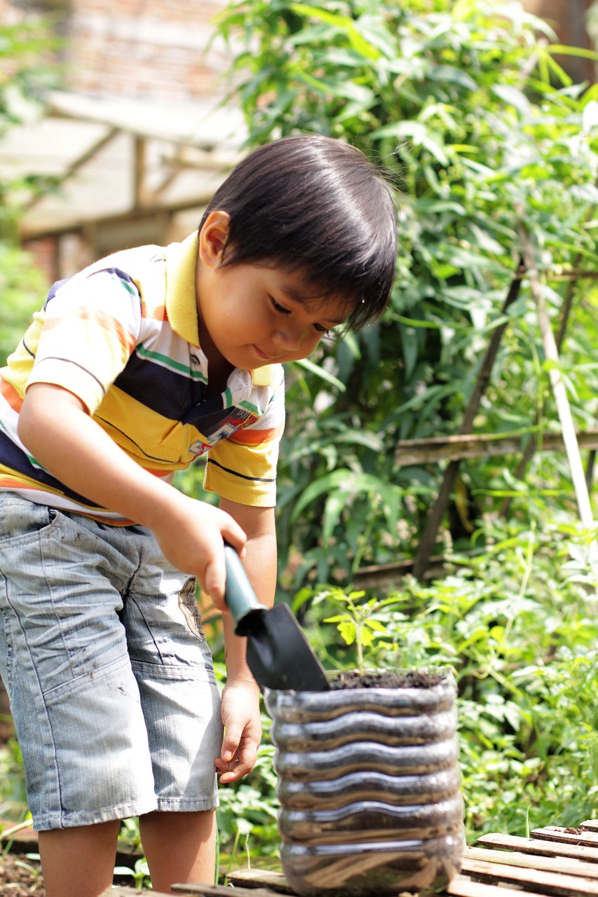 足球小子大空翼，热血少年成长记足球小子大空翼中文版全集