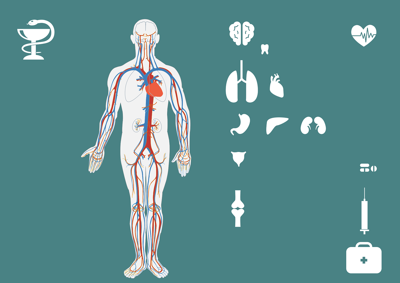 健康检测工程师，守护生命之盾健康检测员是干嘛的?