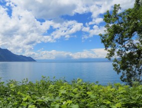 观音山海滩附近的美食之旅观音山沙滩好玩吗