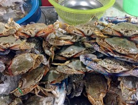 西安熙地港美食排行西安熙地港美食排行