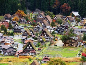 靖西中山公园美食探秘靖西中山公园美食有哪些