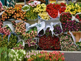 新市花园珠海美食探秘珠海新市花园商铺出售