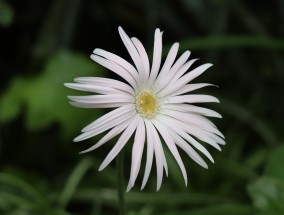 宁波足球场植物墙花盆之美宁波的足球场