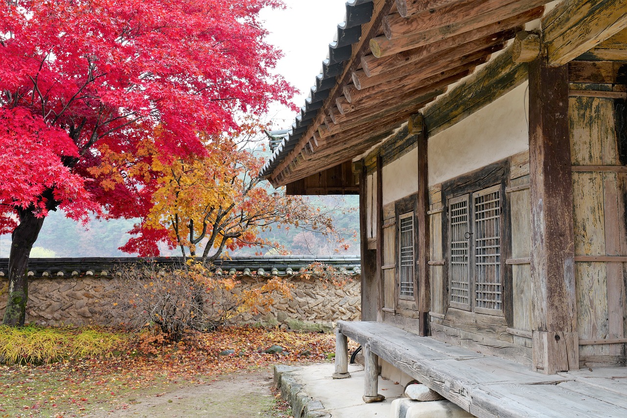 韩国水原中国街美食之旅韩国水原旅游景点