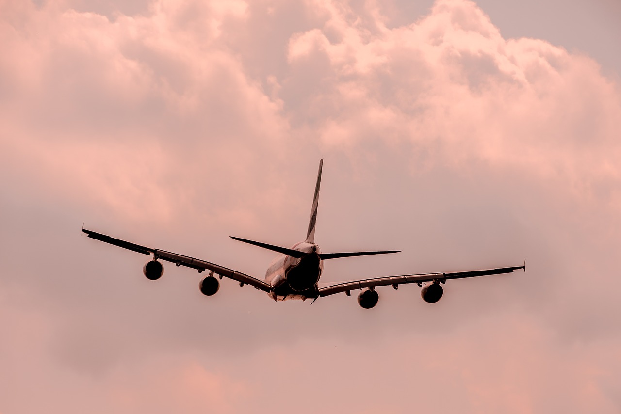 阿联酋航空经济舱美食体验阿联酋航空经济舱行李规定